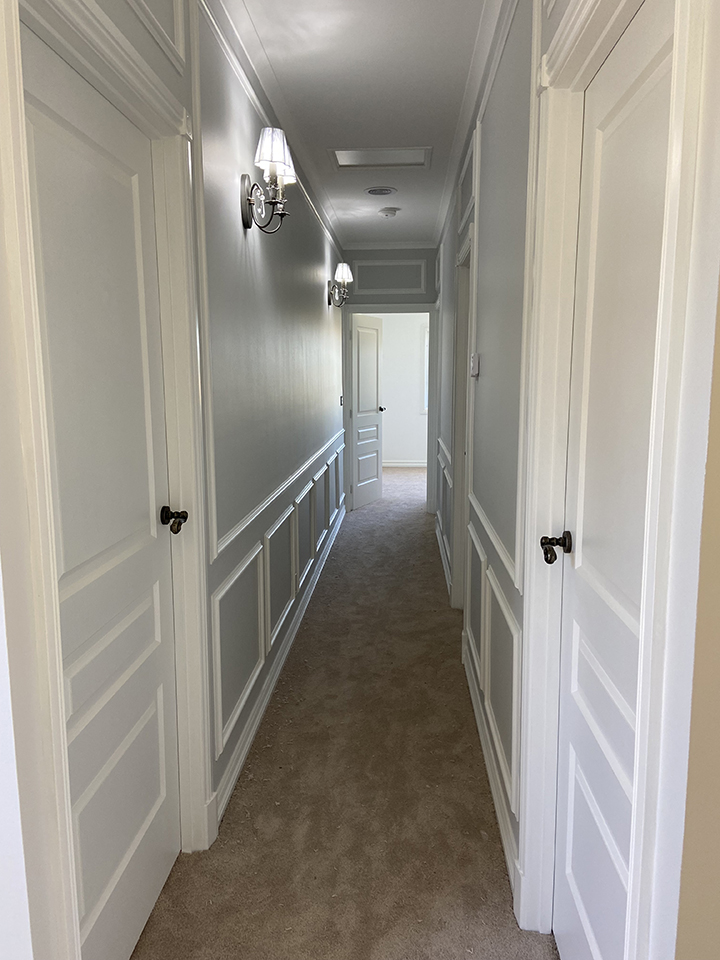 Templestowe Extension and Full Renovation