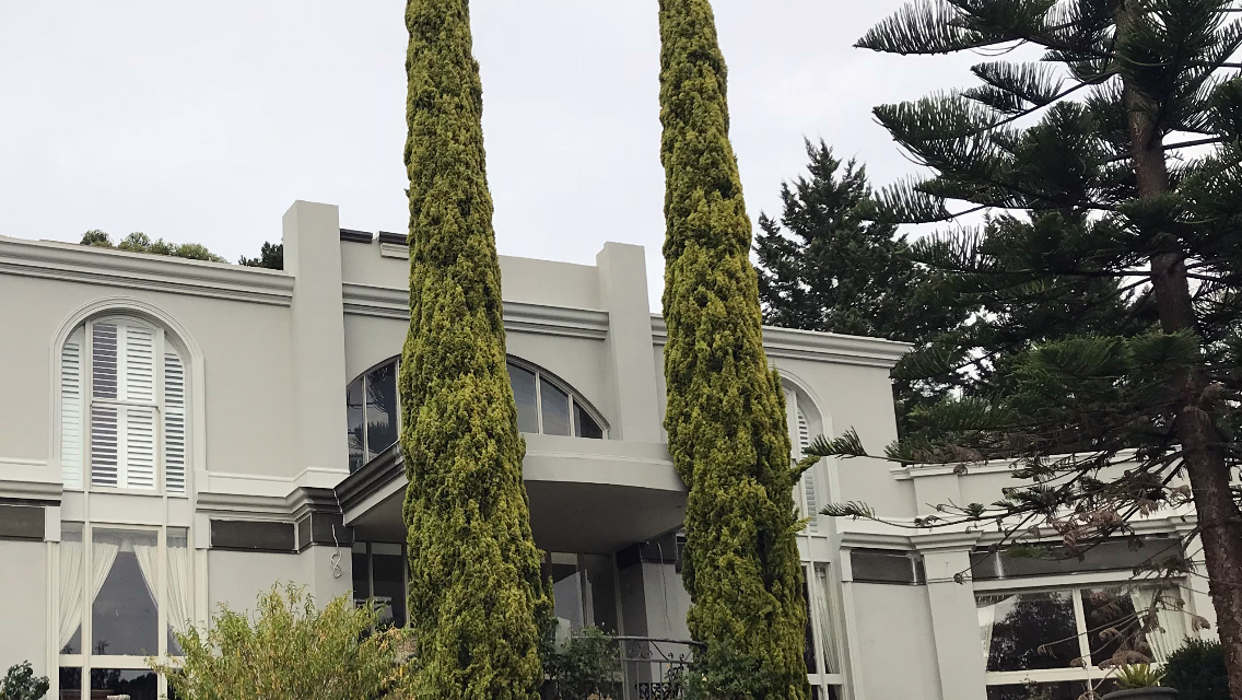 Park Orchards Renovation